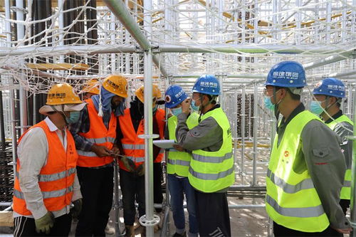 鑄就中塔友誼新篇章 煙建集團(tuán)用精品工程 建筑友誼豐碑